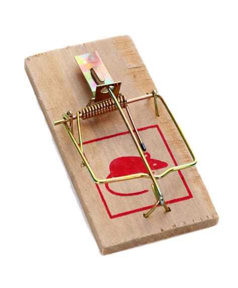 Mouse Trap Png Transparent Image Download Size 826x1000px