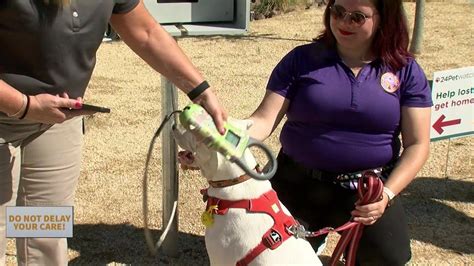 New Solar Powered Microchip Scanner In El Paso Helps Reunite Pets
