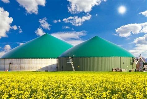 Biogas Picture