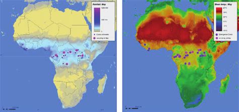 African savanna average temperature and rainfall the rounded amount of rainfall they get starts from 15 to 25 inches monthly. Emerging events of Ebolavirus and climate since the Ebola fever... | Download Scientific Diagram