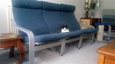 Triple PoÄng The Astonishing Cat Resistant Sofa Ikea Hackers