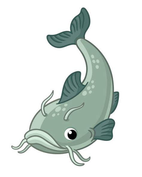 Cartoon Catfish Illustrations Royalty Free Vector Graphics And Clip Art