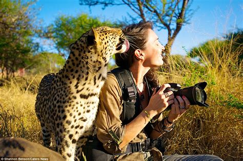 Photographer Shannon Wild Has Been Mauled By A Cheetah For The Perfect