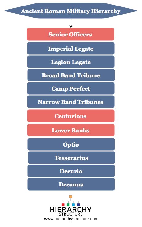 Ancient Roman Military Hierarchy Roman Army Rank Structure