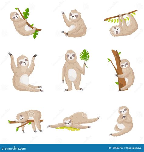 Set Of Cute Sloths In Different Poses And Various Emotions Isolated On