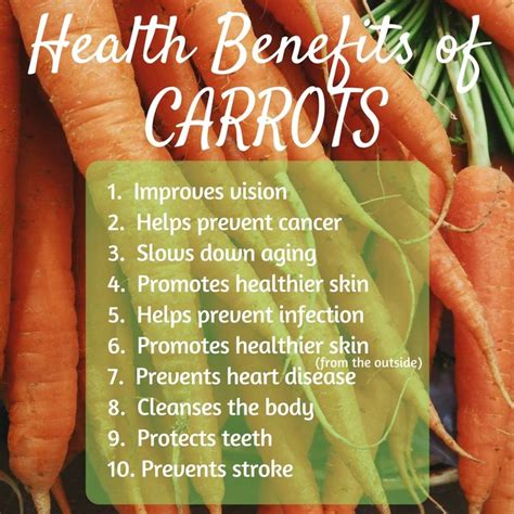 10 Benefits Of Carrots The Crunchy Powerfood How To Stay Healthy