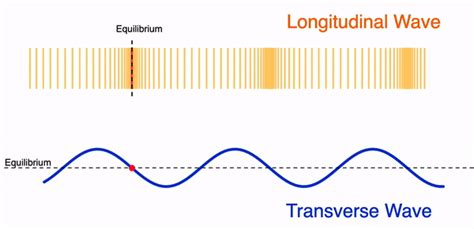 Longitudinal And Transverse Waves Physics Lens