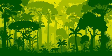 Jungle Forest Silhouette Rainforest Background 24082057 Vector Art At