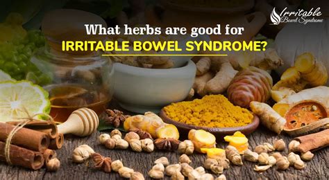 What Herbs Are Good For Irritable Bowel Syndrome Irritable Bowel Syndrome