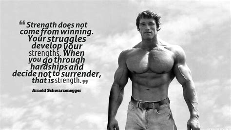 If the resolution you are looking for it is not listed, then you can download original size or. quote, Motivational, Arnold Schwarzenegger Wallpapers HD ...
