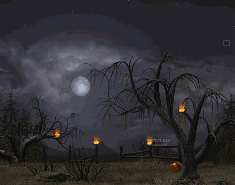 Halloween Wallpaper Pumpkins Moon And Witch Pics Hd Wallpaper