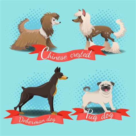 Hairless Dog Illustrations Royalty Free Vector Graphics
