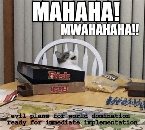 Evil Plans For World Domination Funny Cat Memes Funny Cats Silly Cats