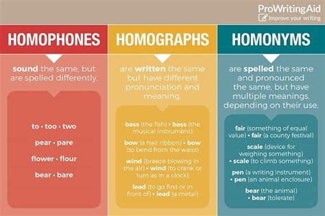 Infographic What Are Homophones Homographs And Homonyms Prowritingaid