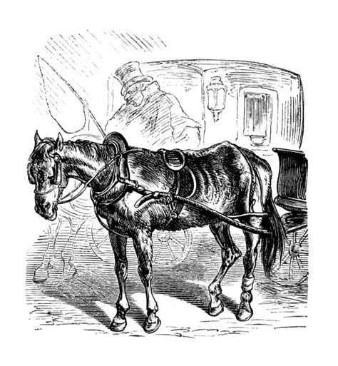 Silhouette Of Antique Horse Drawn Wagon Illustrations Royalty Free