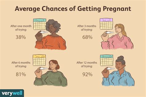 How Quickly Can You Get Pregnant In Weeks Or Months