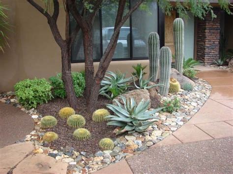 The 25 Best Arizona Landscaping Ideas On Pinterest Desert