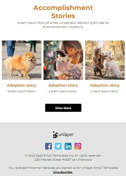 Email Marketing For Veterinarians 10 Tips On How To Boost Email Open