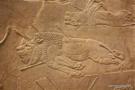 Assyrian Lion Hunt Relief Photo Post Learning To Travel