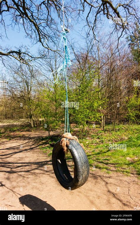 Rope Swing From Branch Tree Hi Res Stock Photography And Images Alamy