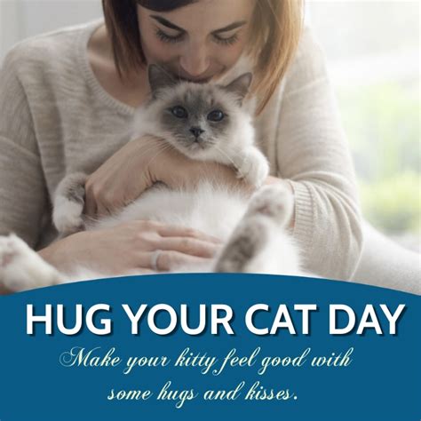 Copy Of Hug Your Cat Day Postermywall