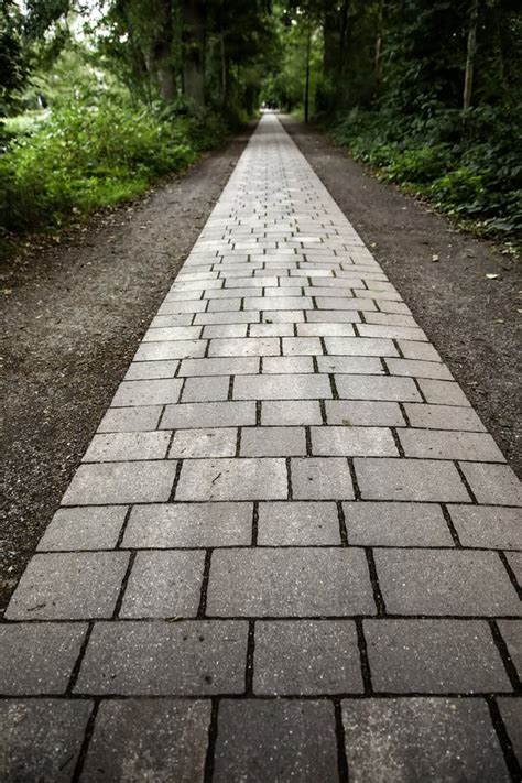 Cobblestone Road In The Forest Stock Photo Image Of Outdoor Park