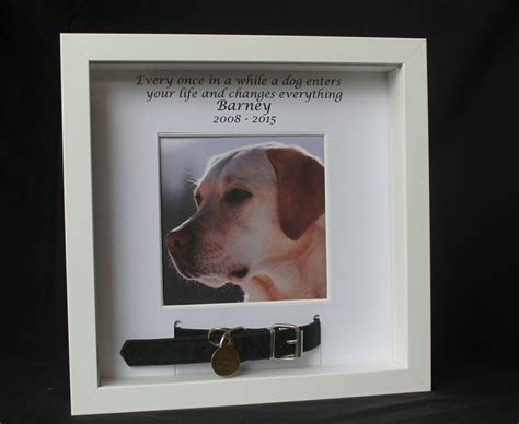 Memorial Photo Frame Personalised T In White For Pet Dog Cat Collar