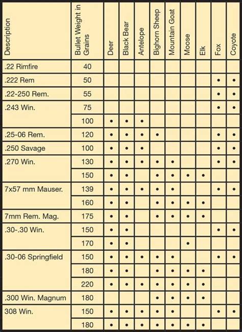 Rifle Bore Diameter Chart