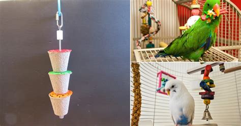 24 Homemade Diy Bird Toys From Recyclable Items ⋆ Bright Stuffs