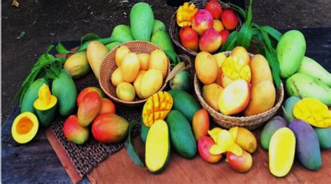 peluang ekspor buah  terbuka  eropa  buah organik