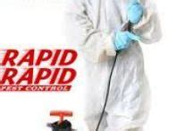We are bedbugs control specialists… call us 519 204 5428. Benefits of Professional Pest Control London Ontario ...