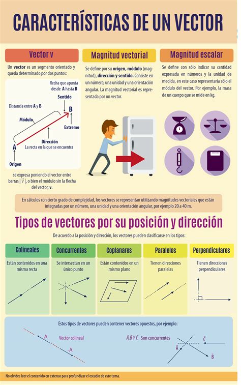 Caracteristicas De Un Vector