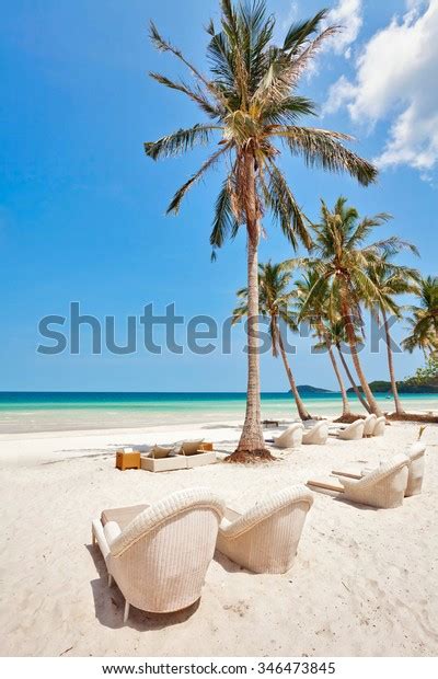 Beautiful Tropical Beach Lounges Palms Under Stock Photo Edit Now