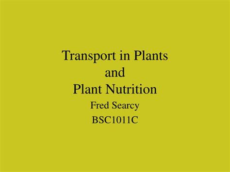 Ppt Transport In Plants And Plant Nutrition Powerpoint Presentation