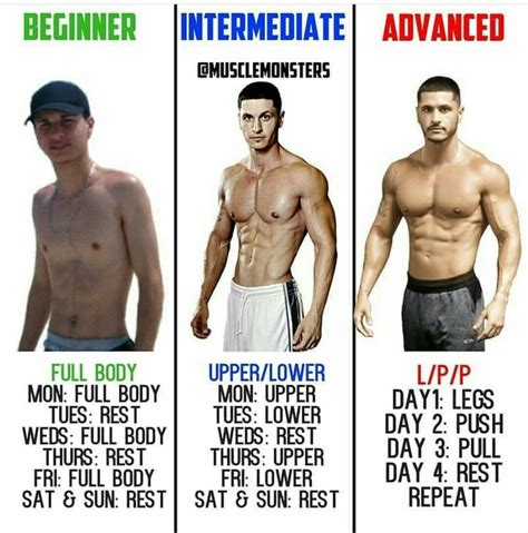 Pin By Hamza On Body Ectomorph Workout Beginner Workout Workout