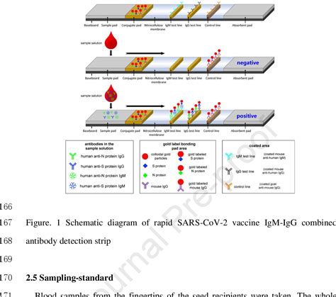 Figure From A Colloidal Gold Based Immunochromatographic Strip For Rapid Detection Of Sars Cov