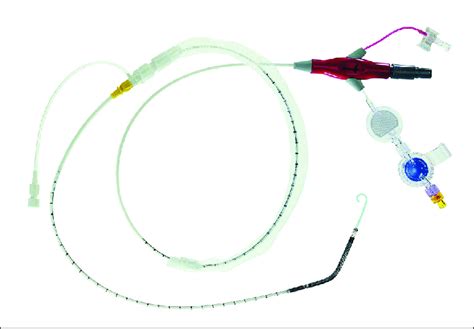 Impella ® 25 Catheter Download Scientific Diagram