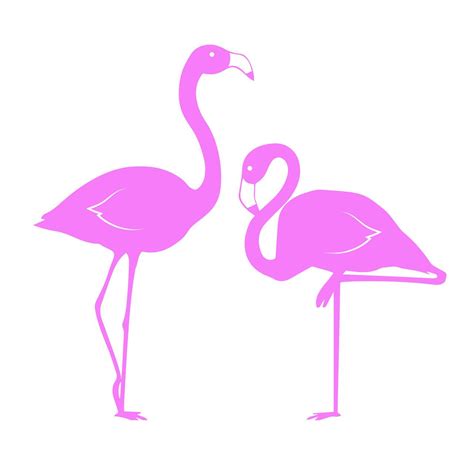 Pretty Flamingo Svg File Clipart For Cricut Silhouett Vrogue Co