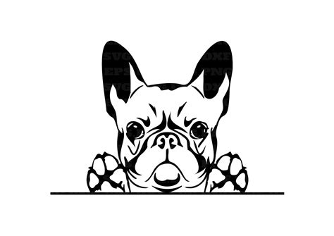 French Bulldog Dog Svg Png And Svg Png Files Instant Etsy