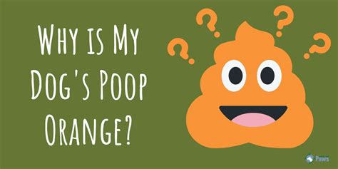 What Does The Color Of My Child Poop Mean The Meaning Of Color