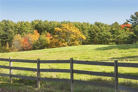 Wooden cattle fences are the epitome of farming fences. Wooden Fence In Autumn Maine Farm Pasture Photograph by Keith Webber Jr