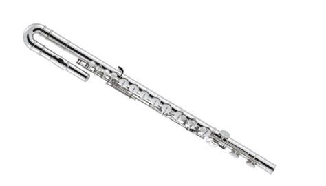 Menuda Flauta Que Tiene El Profesor De Música Quiero Probar Telegraph