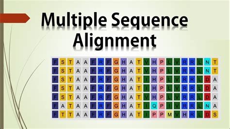 Multiple Sequence Alignment Youtube