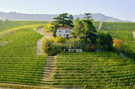 Langhe Farms And Vineyards Fall Season Color Image Stock Photo