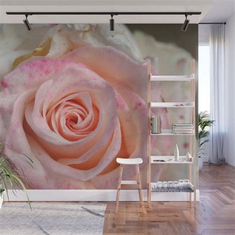 Buy Pink Summer Rose Macro Wall Mural By Annaki Worldwide Shipping