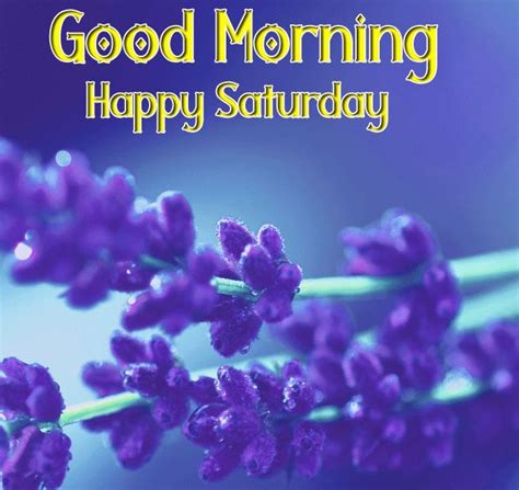 Check spelling or type a new query. latest purples flower Good Morning Happy Saturday images ...
