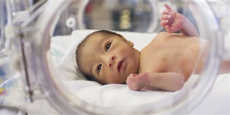 Drop In Us Preterm Birth Rate Is Good News For American Mothers