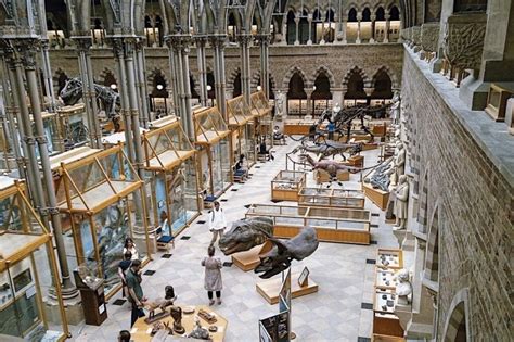 Natural History Museum London Semi Private Guided Tour London