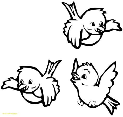 Winter Birds Coloring Coloring Pages