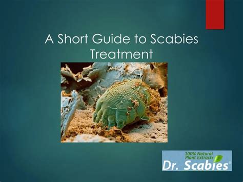 Ppt A Short Guide To Scabies Treatment 2016 Powerpoint Presentation